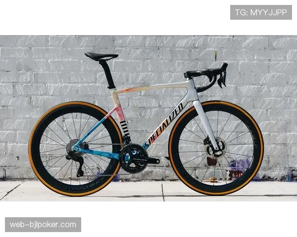 浙江骑行消费市场观察：25-40岁消费群体占比58%，高端公路车供不应求